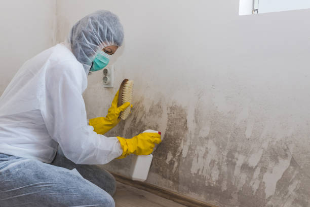 Best Crawl Space Mold Removal  in Concordia, NJ