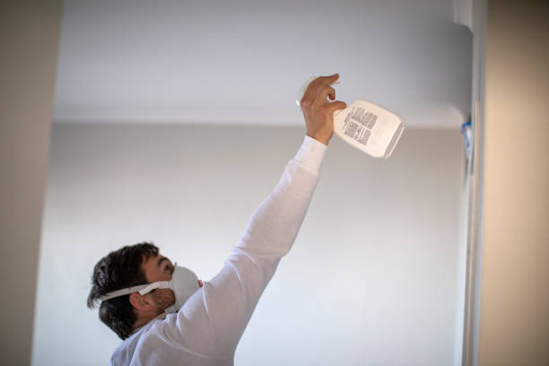 Best Certified Mold Removal  in Concordia, NJ